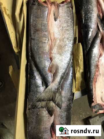 Продам горбушу пбг, кету пбг оптом Петропавловск-Камчатский - изображение 1