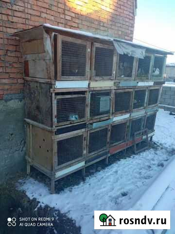 Клетка для кур и кроликов Хасавюрт - изображение 1