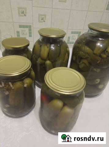 Огурцы марин, капуста кваш, корень хрена, грибы ма Славгород - изображение 1