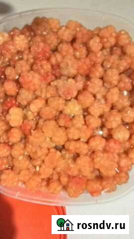 Морошка, малина Медвежьегорск - изображение 1