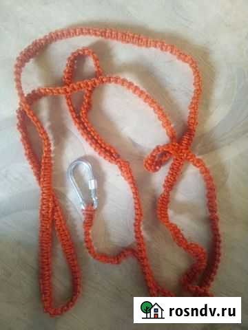 Ошейники для собак Рубцовск - изображение 1