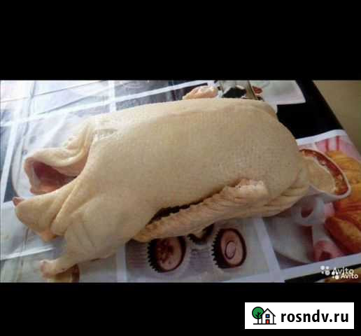 Тушка домашнего гуся выращенного в Тамбовской обла Домодедово - изображение 1