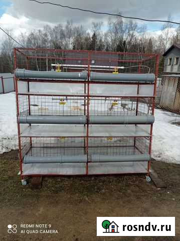 Клетки для бройлеров Сергиев Посад - изображение 1