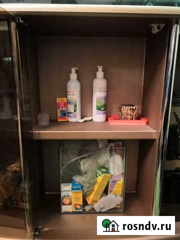 Аквариум в сборе с рыбами Мурманск - изображение 1