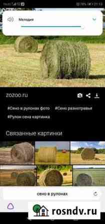 Продам сено в рулонах, россыпью Уйское