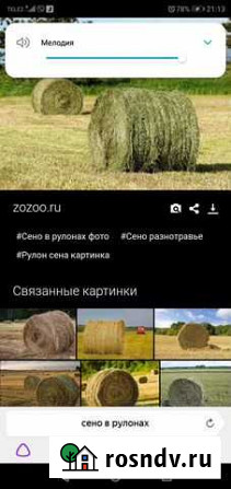 Продам сено в рулонах, россыпью Уйское - изображение 1