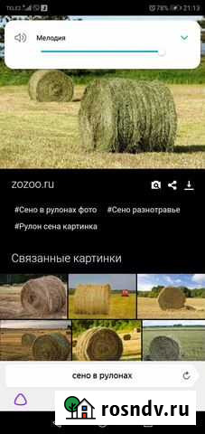 Продам сено в рулонах, россыпью Уйское - изображение 1