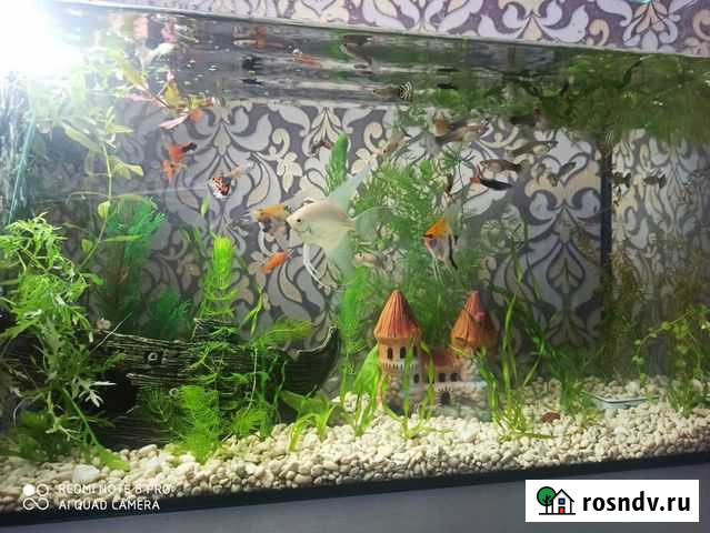 Продам аквариум 70л Севастополь - изображение 1