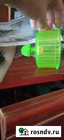 Колесо для грызунов Ижевск - изображение 1