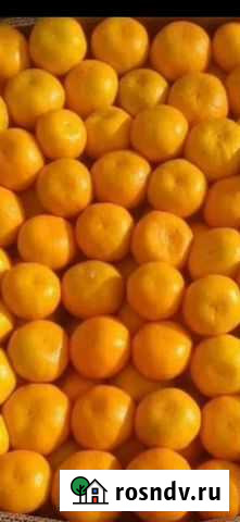 Мандарины Абхазия Миасс - изображение 1