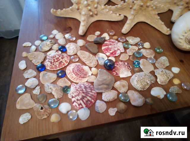 Ракушки для аквариума Люберцы - изображение 1