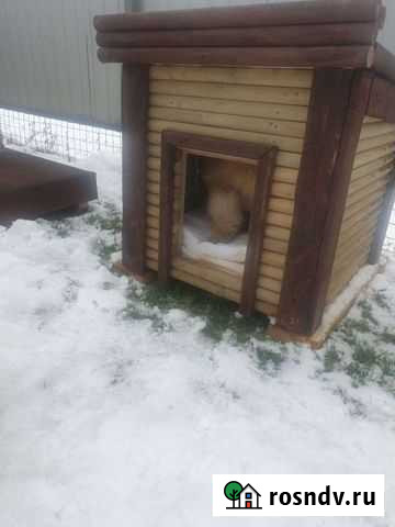 Будка для собаки утепленная Новоалтайск - изображение 1
