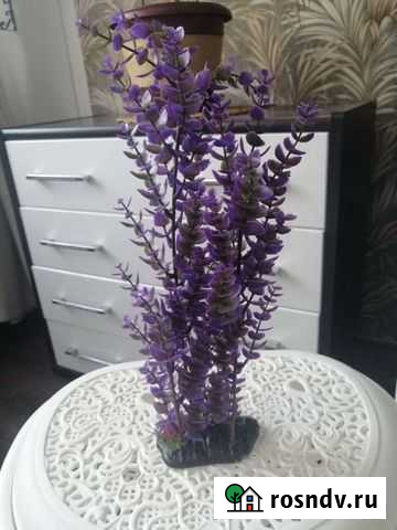 Декор для аквариума Бердск - изображение 1