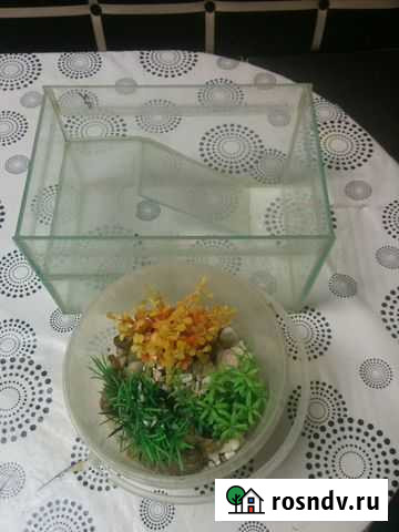 Аквариум Буинск - изображение 1