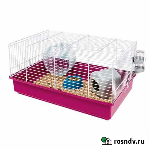 Хомяк с клеткой Самара - изображение 1
