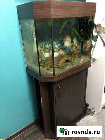 Аквариум Красноярск - изображение 1