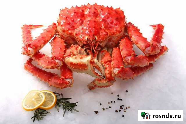 Краб камчатский Геленджик - изображение 1