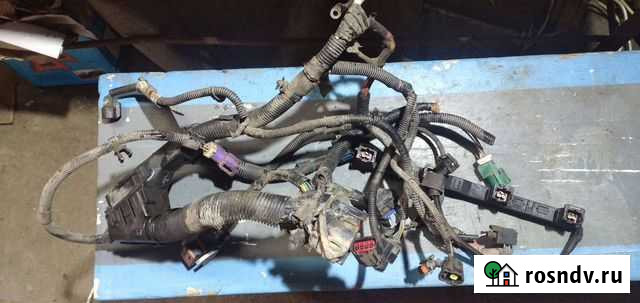 Проводка на двигатель Форд Фиеста 6 Алексеевка - изображение 1