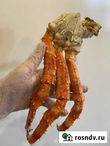 Камчатский краб размер M и L. Опт и розница Нижний Новгород - изображение 1