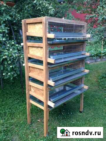 Клетки для перепелов Быково - изображение 1