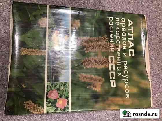 Книги Мурино