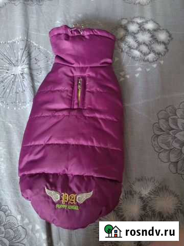 Жилетка для собак Усолье-Сибирское - изображение 1