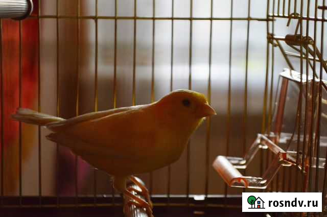 Классный фотоаппарат Sony Cyber-shot DSC-T100 Шахты - изображение 1