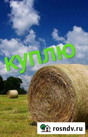 Сено,Cолома Калуга - изображение 1