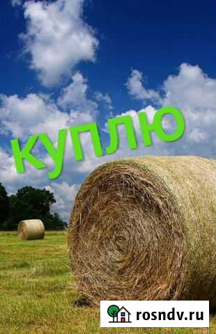 Сено,Cолома Калуга - изображение 1
