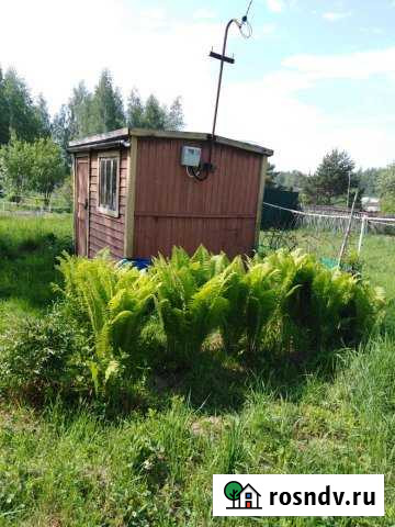 Участок СНТ, ДНП 4 сот. на продажу в Туношне Туношна - изображение 1