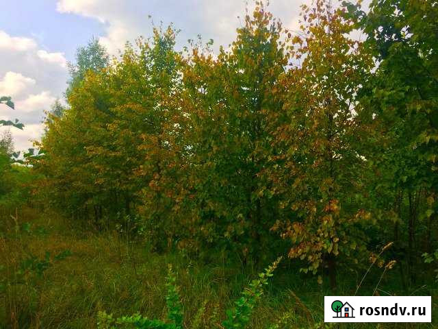 Участок СНТ, ДНП 6000 сот. на продажу в Ильинско-Хованском Ильинско-Хованское - изображение 1