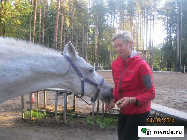 Сиделка Всеволожск - изображение 1