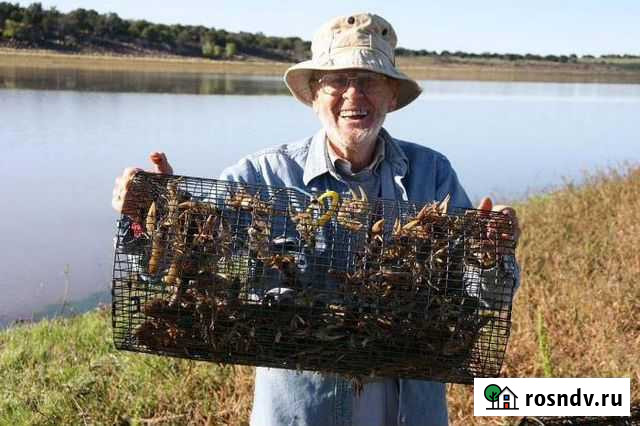 Живец в Москве рыболовным магазинам и рыбакам Красногорск - изображение 1
