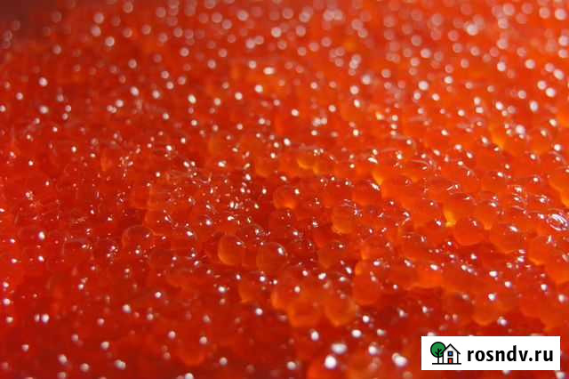 Икра красная 2021 Амурск - изображение 1