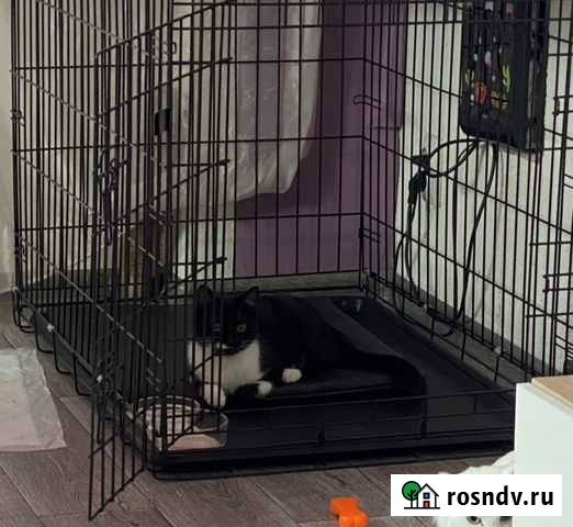 Клетка Усолье-Сибирское - изображение 1