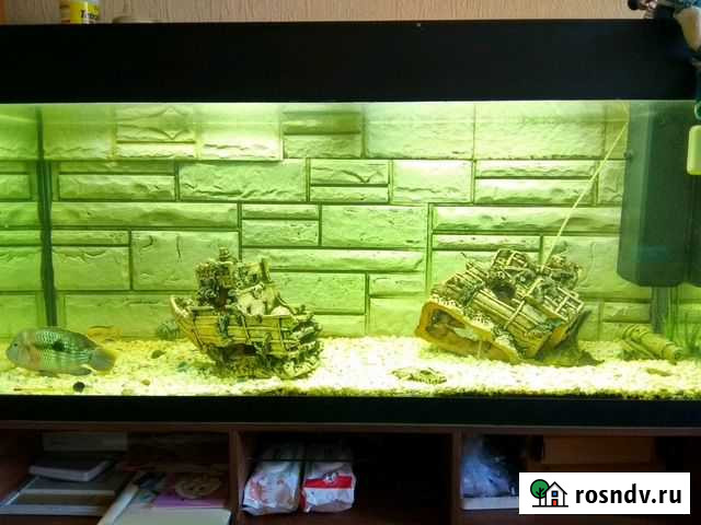 Аквариум 440л с тумбой Красноярск - изображение 1