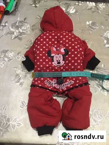 Костюм для собаки Коломна - изображение 1