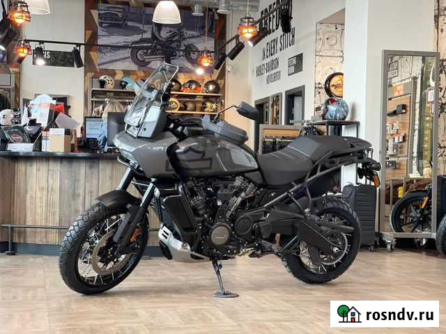 Pan America 1250 Special - Gauntlet Gray Metallic Красноярск - изображение 1