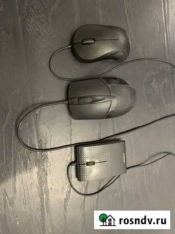 Мышь Волгоград - изображение 1