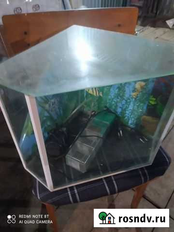 Аквариум Зима - изображение 1