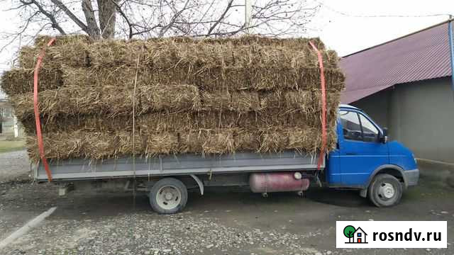 Сено Эльхотово - изображение 1