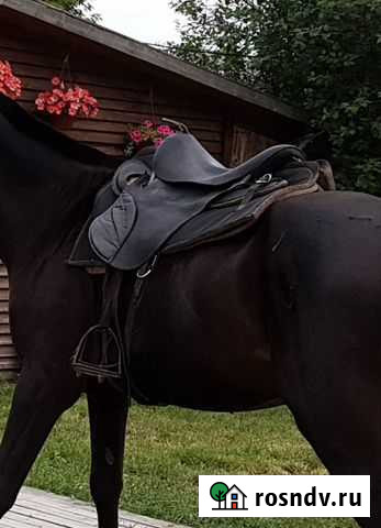 6 сёдел на лошадь и пони Липецк - изображение 1