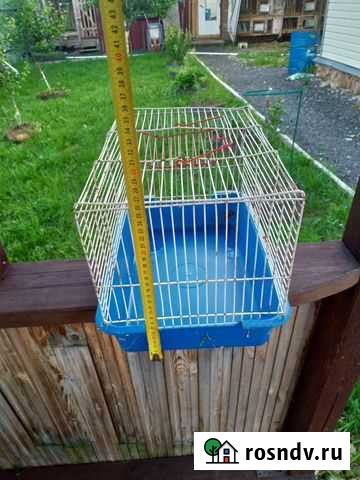 Клетка для грызунов Сергиев Посад - изображение 1