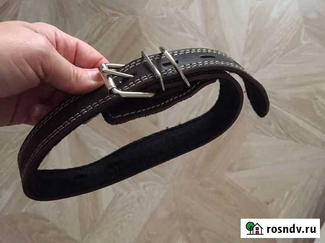 Ошейник Кстово - изображение 1