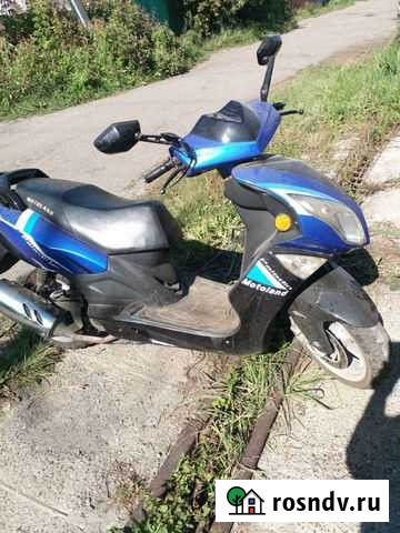 Paladin Томск - изображение 1