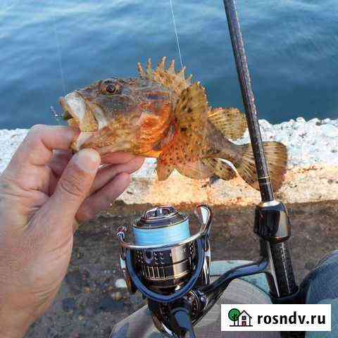 Морская Рыбалочка Сочи