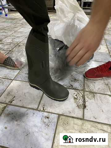Сапоги болотные Подстепки - изображение 1