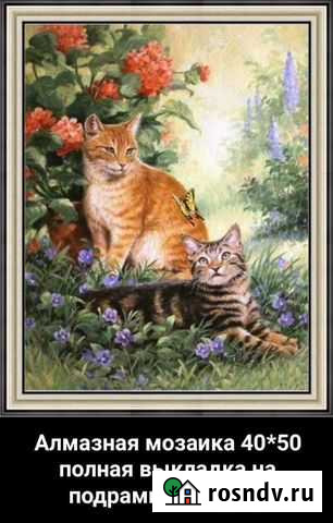 Алмазная мозаика Киров - изображение 1