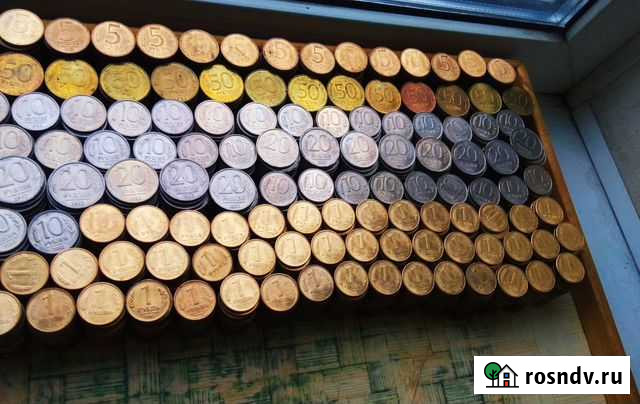 Монеты Благовещенск - изображение 1