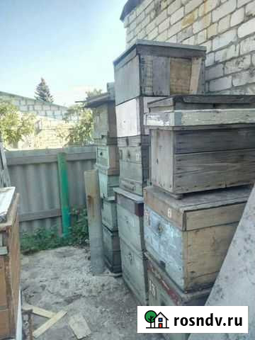 Ульи обмен Саратов - изображение 1